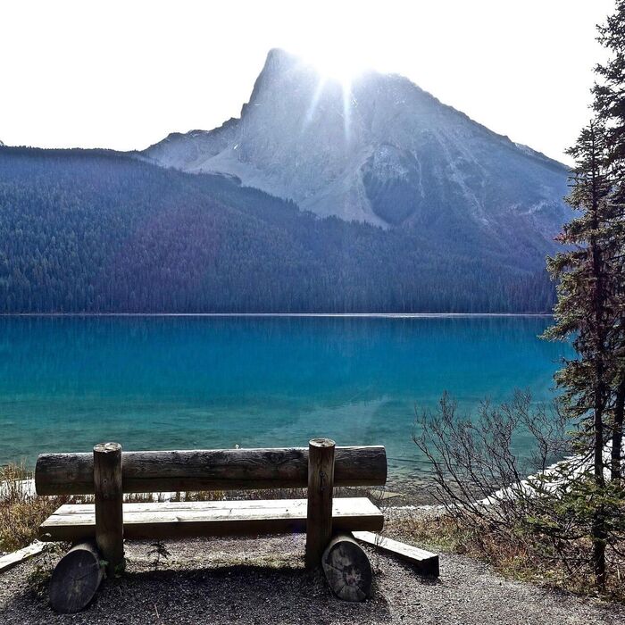 Die Sitzbank in der Natur bietet einen schönen Ausblick auf die Bergkulisse.