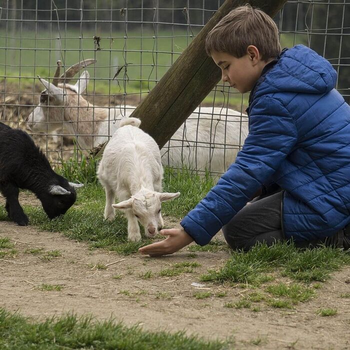 Die Tiere am Hof füttern und streicheln das lässt Kinderherzen höher schlagen.