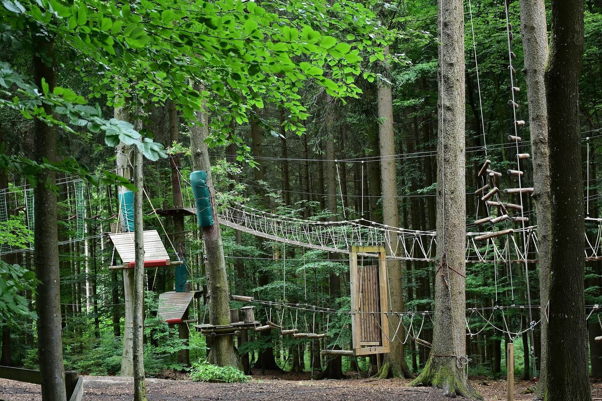 Der Kletterhochseilgarten mitten in der Natur.